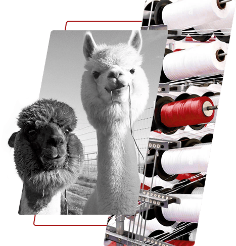 Barwiona przędza poliestrowa